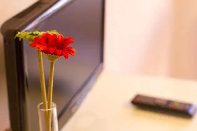 Apart Daire (Triple)