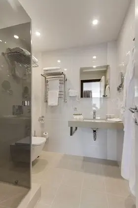 Superior Tek Büyük Yataklı Oda