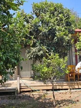 Aile Odası, Bahçe Manzaralı, Bahçe Katı