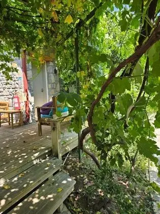 Aile Odası, Bahçe Manzaralı, Bahçe Katı