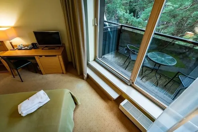 Tek Büyük Yataklı Oda, Balkon (with free SPA access 8:00-12:00)