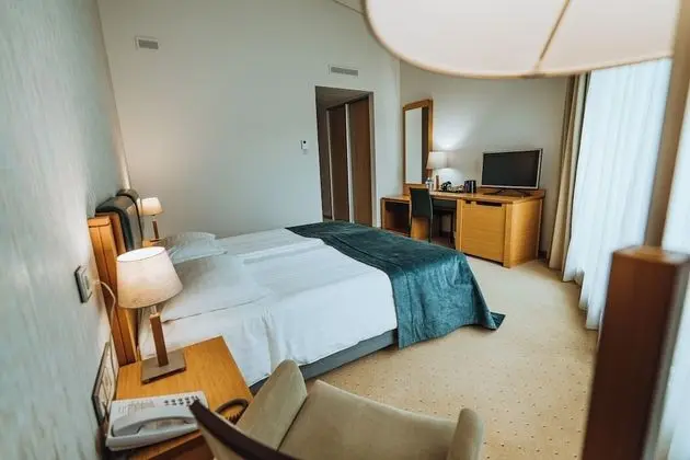 Tek Büyük Yataklı Oda, Balkon (with free SPA access 8:00-12:00)