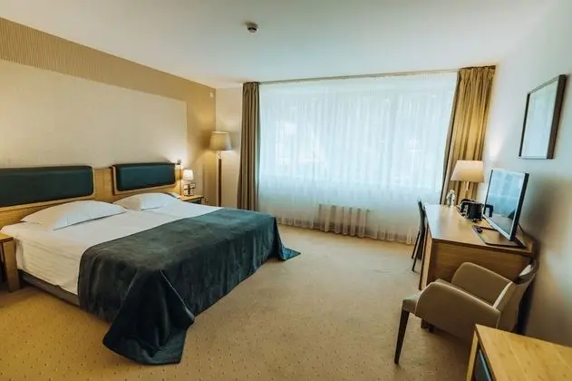 Tek Büyük Yataklı Oda (with free SPA access 08:00 – 12:00)