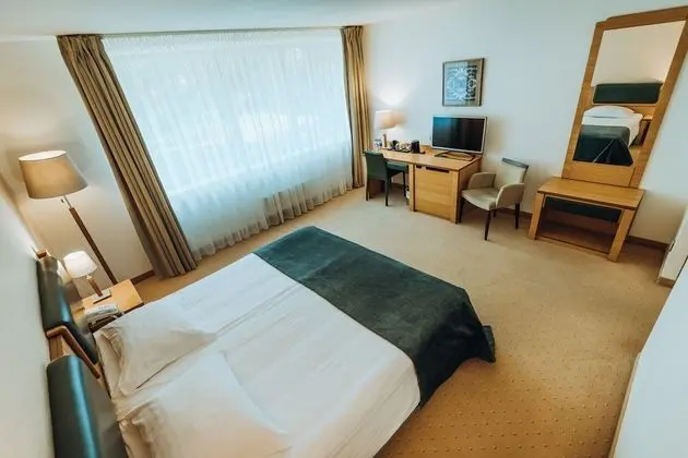 Tek Büyük Yataklı Oda (with free SPA access 08:00 – 12:00)