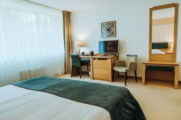 Tek Büyük Yataklı Oda (with free SPA access 08:00 – 12:00)