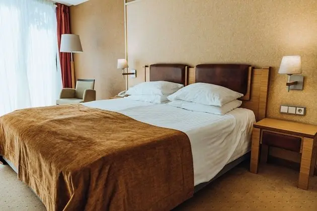 Tek Büyük Yataklı Oda (with free SPA access 08:00 – 12:00)