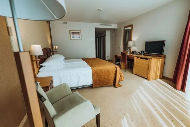 Tek Büyük Yataklı Oda (with free SPA access 08:00 – 12:00)