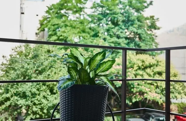 Deluxe Apart Daire, Sigara İçilmez, Balkon
