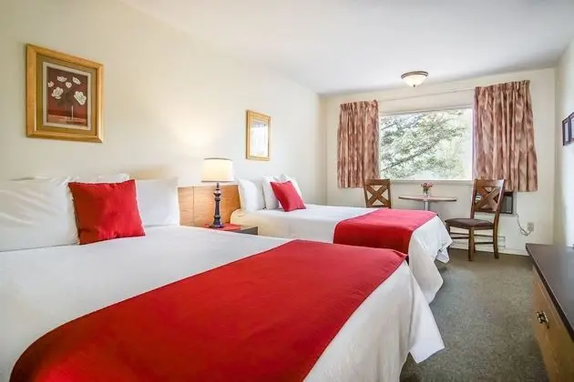 Double Room #14 (Pet friendly)