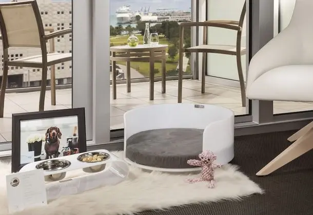 Oda, 1 En Büyük (King) Boy Yatak, Engellilere Uygun, Balkon (City View, Mobility)