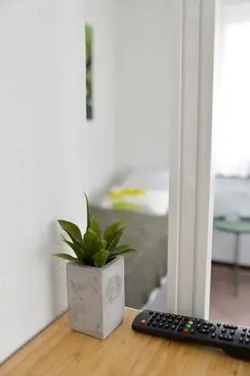 Standard Tek Büyük Yataklı Oda (13)