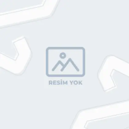 TAŞ EV
