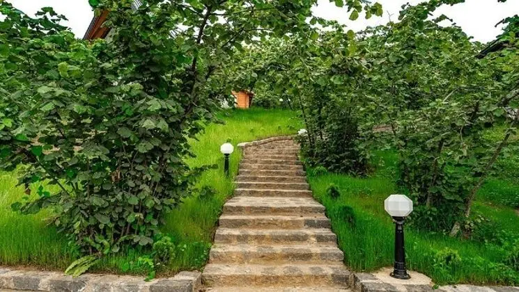 Taş Villa Şömineli & Jakuzili