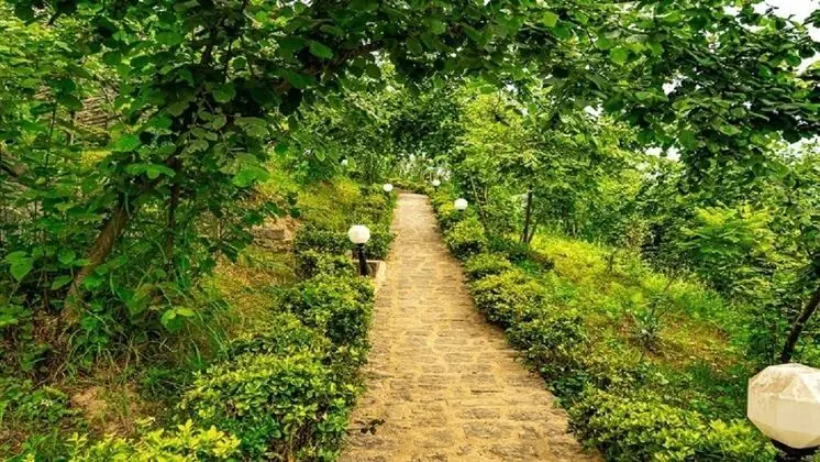 Taş Villa Şömineli & Jakuzili