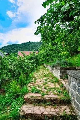 Taş Villa Şömineli & Jakuzili