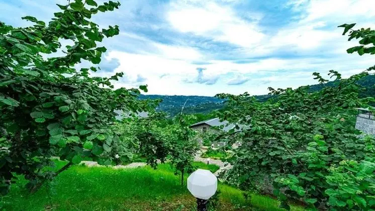 Taş Villa Şömineli & Jakuzili