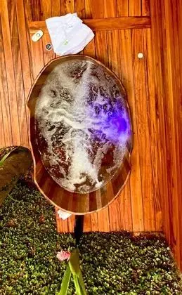 Deluxe İki Ayrı Yataklı Oda