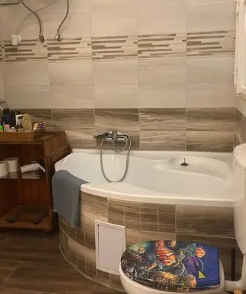Deluxe Tek Büyük veya İki Ayrı Yataklı Oda, Özel Banyo