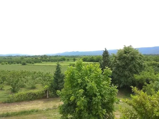 Economy Tek Büyük Yataklı Oda, 1 Çift Kişilik Yatak, Balkon