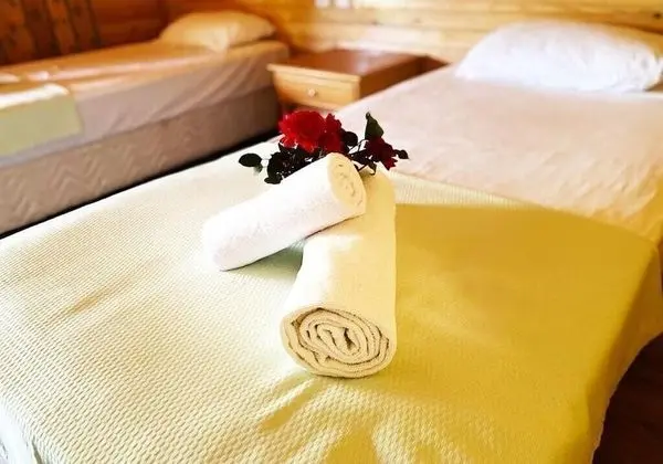 Standard Tek Büyük veya İki Ayrı Yataklı Oda