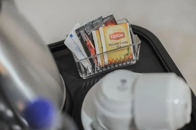 Superior Tek Büyük Yataklı Oda