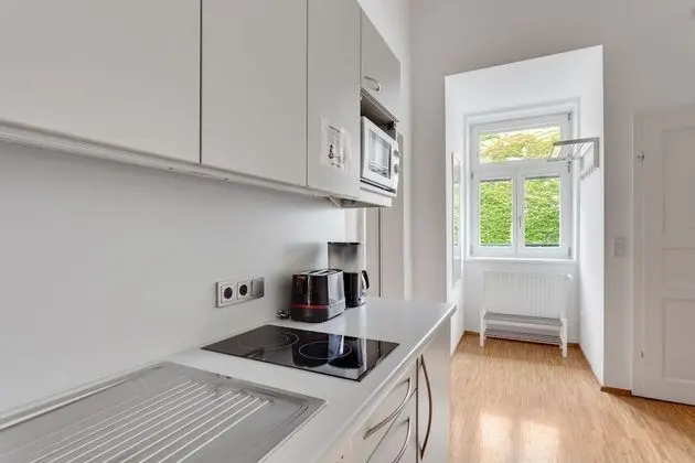 Deluxe Apart Daire, 2 Yatak Odası, Sigara İçilmez, Mutfak