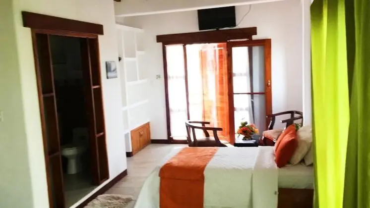 Deluxe Tek Büyük Yataklı Oda, 1 Çift Kişilik Yatak