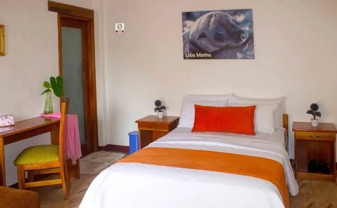 Deluxe Tek Büyük Yataklı Oda, 1 Çift Kişilik Yatak