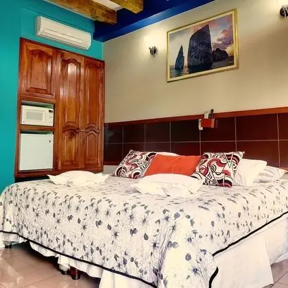 Superior Tek Büyük Yataklı Oda, 1 En Büyük (King) Boy Yatak, Bahçe Manzaralı