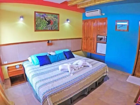 Superior Tek Büyük Yataklı Oda, 1 En Büyük (King) Boy Yatak, Bahçe Manzaralı