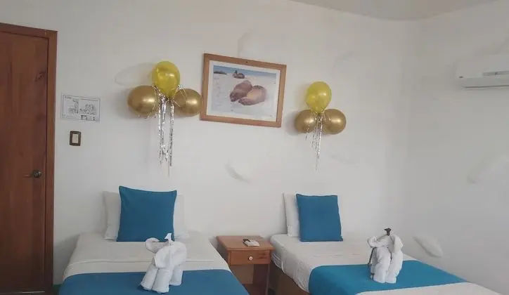 Deluxe İki Ayrı Yataklı Oda, Balkon