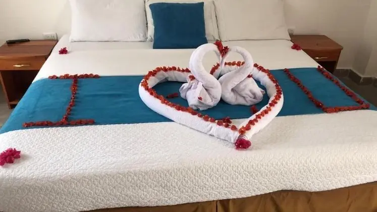 Standard Tek Büyük Yataklı Oda, 1 Büyük (Queen) Boy Yatak