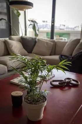 Exclusive Süit, Birden Çok Yatak, Şehir Manzaralı