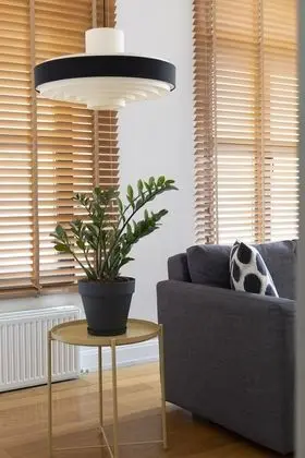 Standard Süit, 1 Çift Kişilik Yatak