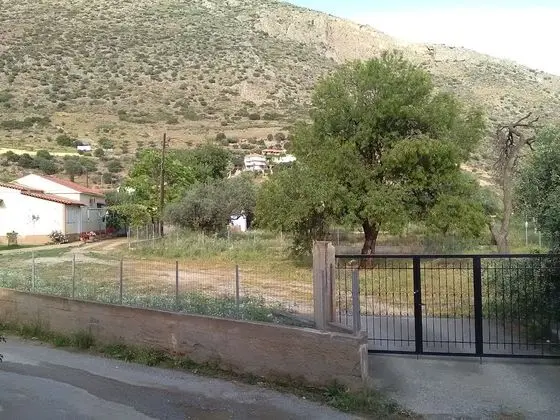 Economy Tek Büyük Yataklı Oda, Zemin Kat