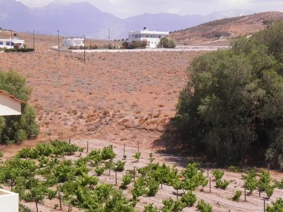 Stüdyo (3 adults)