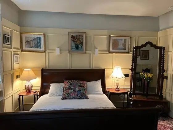 Superior Tek Büyük Yataklı Oda, 1 Yatak Odası, Banyolu/Duşlu