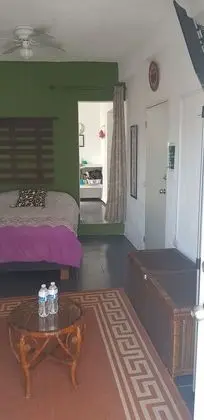 Apart Daire, 1 Yatak Odası, Teras