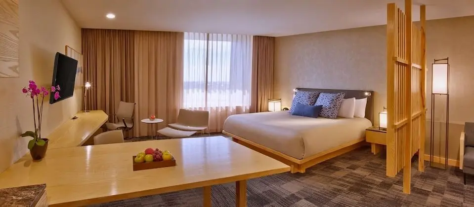Çatı Katı (Loft), 1 En Büyük (King) Boy Yatak, Şehir Manzaralı