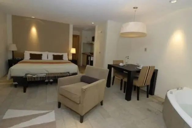 Standard Süit, 1 En Büyük (King) Boy Yatak, Bahçe Manzaralı (Studio King - Jacuzzi and Fireplace)