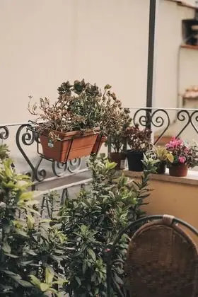 Superior Tek Büyük veya İki Ayrı Yataklı Oda