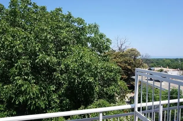 Basic Tek Büyük veya İki Ayrı Yataklı Oda