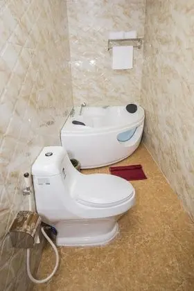 Superior İki Ayrı Yataklı Oda, Şehir Manzaralı