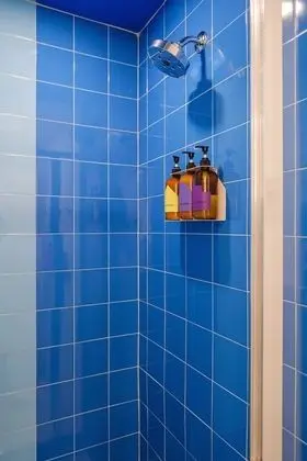 Süit
