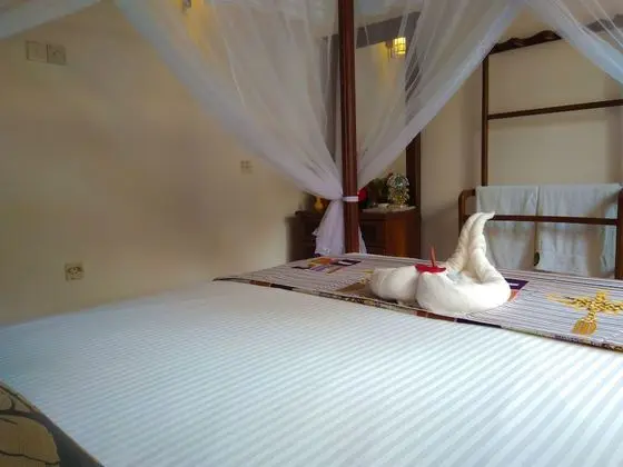 Oda, Havuz Kullanımı, Havuz Manzaralı (Deluxe Double or Twin Room )