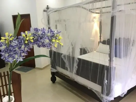 Deluxe Tek Büyük Yataklı Oda, 1 Büyük (Queen) Boy Yatak, Şehir Manzaralı