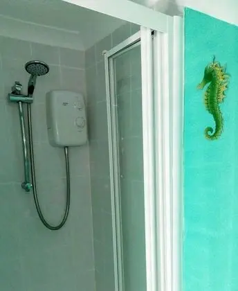 Tek Büyük Yataklı Oda, Banyolu/Duşlu