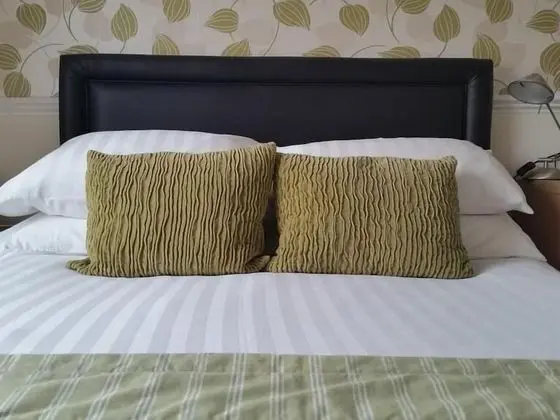 Tek Büyük Yataklı Oda, Banyolu/Duşlu (Room 10)
