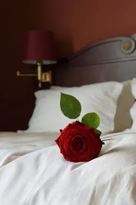 Business Tek Büyük Yataklı Oda