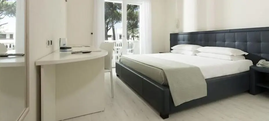 Deluxe Tek Büyük Yataklı Oda (beach access included)
